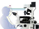 尼康Ti-U/E/S科研级倒置显微镜