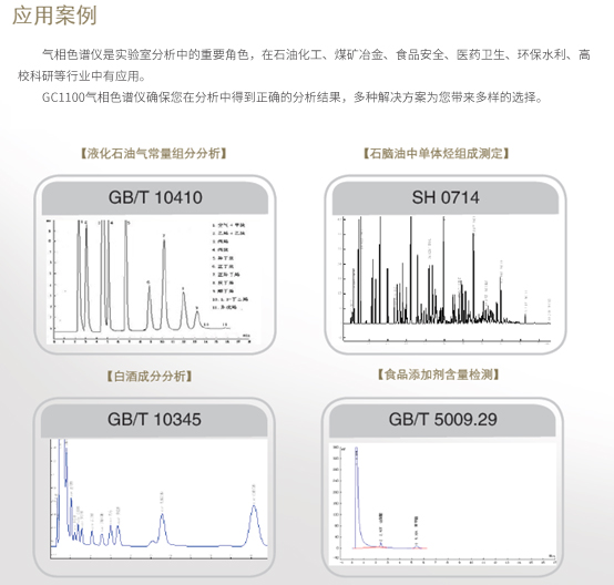 北京普析GC1100系列气相色谱仪