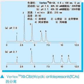 vertex c8液相色谱柱