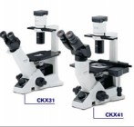 CKX41 倒置显微镜