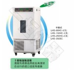 LHS-250SC 恒温恒湿箱—专业型