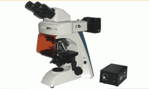BK204荧光显微镜